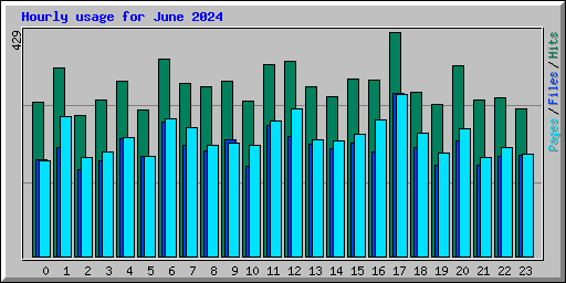 Hourly usage for June 2024